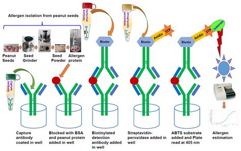 elisa test which disease|elisa test for allergens.